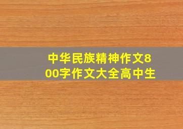 中华民族精神作文800字作文大全高中生