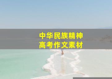 中华民族精神高考作文素材