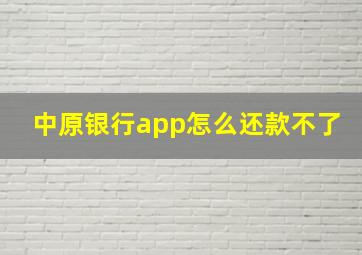 中原银行app怎么还款不了