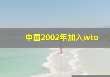 中国2002年加入wto