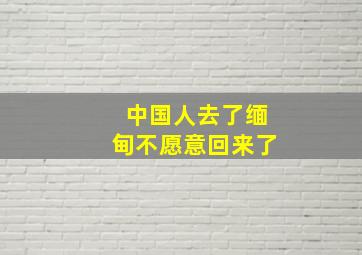 中国人去了缅甸不愿意回来了