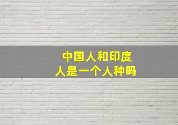 中国人和印度人是一个人种吗