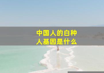 中国人的白种人基因是什么