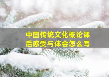 中国传统文化概论课后感受与体会怎么写