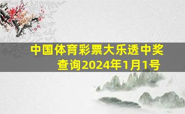 中国体育彩票大乐透中奖查询2024年1月1号