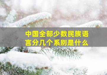 中国全部少数民族语言分几个系别是什么