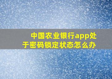 中国农业银行app处于密码锁定状态怎么办