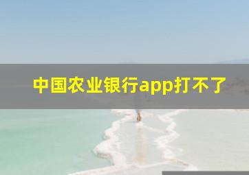 中国农业银行app打不了