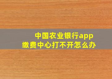 中国农业银行app缴费中心打不开怎么办