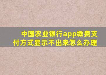 中国农业银行app缴费支付方式显示不出来怎么办理