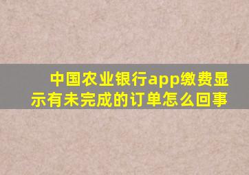 中国农业银行app缴费显示有未完成的订单怎么回事