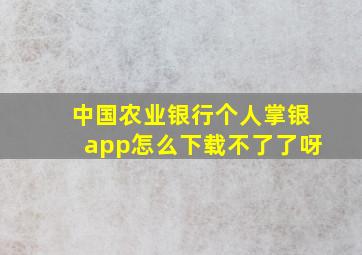 中国农业银行个人掌银app怎么下载不了了呀