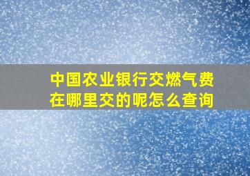 中国农业银行交燃气费在哪里交的呢怎么查询