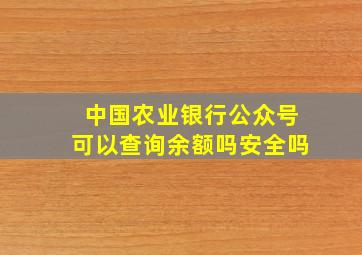 中国农业银行公众号可以查询余额吗安全吗