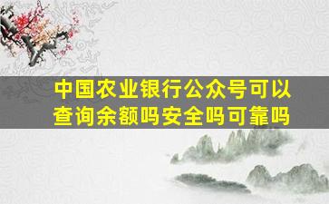 中国农业银行公众号可以查询余额吗安全吗可靠吗