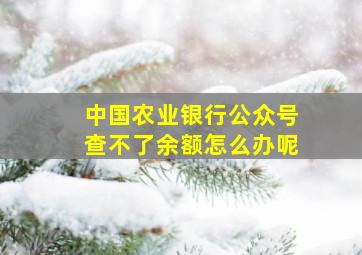 中国农业银行公众号查不了余额怎么办呢