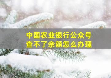 中国农业银行公众号查不了余额怎么办理