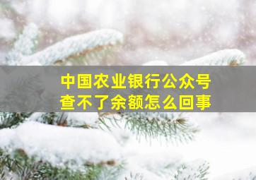 中国农业银行公众号查不了余额怎么回事