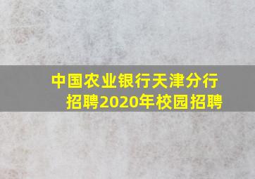 中国农业银行天津分行招聘2020年校园招聘