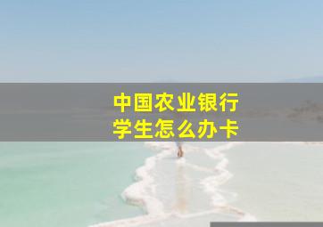 中国农业银行学生怎么办卡