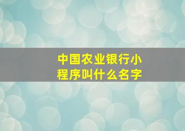 中国农业银行小程序叫什么名字