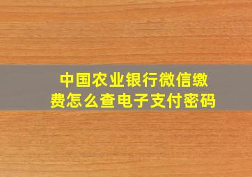 中国农业银行微信缴费怎么查电子支付密码