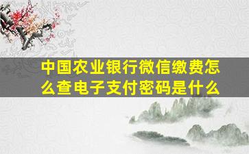 中国农业银行微信缴费怎么查电子支付密码是什么