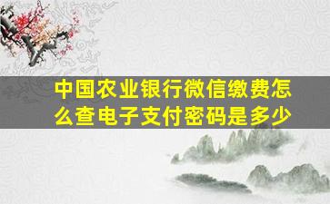 中国农业银行微信缴费怎么查电子支付密码是多少