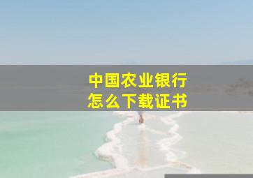 中国农业银行怎么下载证书