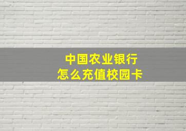 中国农业银行怎么充值校园卡