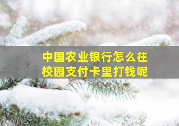 中国农业银行怎么往校园支付卡里打钱呢