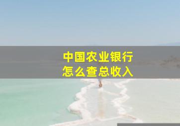 中国农业银行怎么查总收入