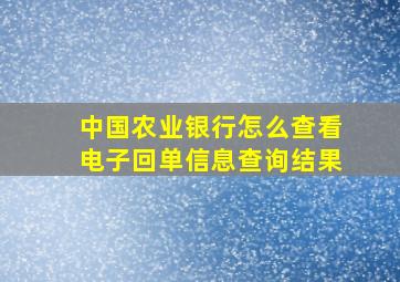 中国农业银行怎么查看电子回单信息查询结果