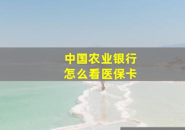 中国农业银行怎么看医保卡