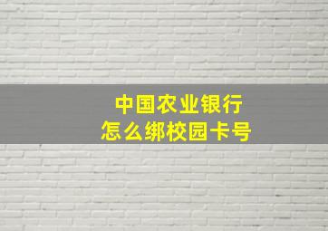 中国农业银行怎么绑校园卡号