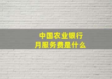 中国农业银行月服务费是什么