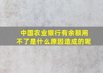 中国农业银行有余额用不了是什么原因造成的呢