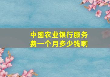 中国农业银行服务费一个月多少钱啊