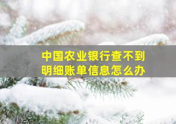 中国农业银行查不到明细账单信息怎么办