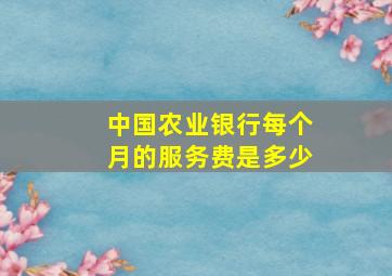 中国农业银行每个月的服务费是多少