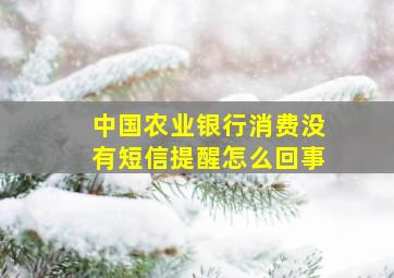 中国农业银行消费没有短信提醒怎么回事