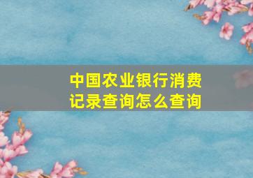 中国农业银行消费记录查询怎么查询