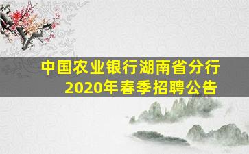 中国农业银行湖南省分行2020年春季招聘公告