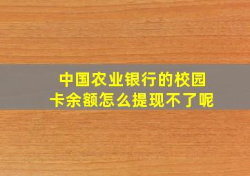 中国农业银行的校园卡余额怎么提现不了呢