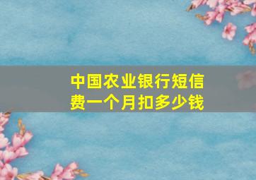 中国农业银行短信费一个月扣多少钱