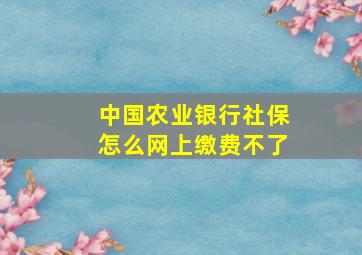 中国农业银行社保怎么网上缴费不了