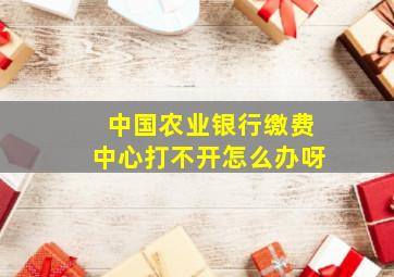 中国农业银行缴费中心打不开怎么办呀