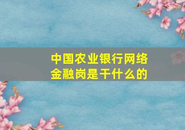 中国农业银行网络金融岗是干什么的