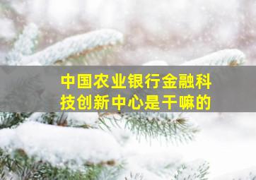 中国农业银行金融科技创新中心是干嘛的