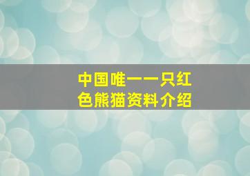 中国唯一一只红色熊猫资料介绍